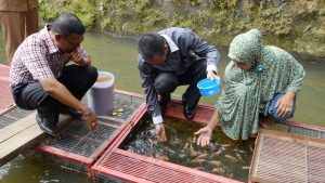 Pemko Pariaman Canangkan Satu Rumah Satu Kolam