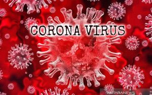 Update Pasien Corona di Sumbar Per 3 April