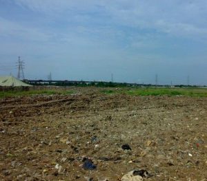 Rahmang Dorong BUMNag Kembangkan Lahan Kosong